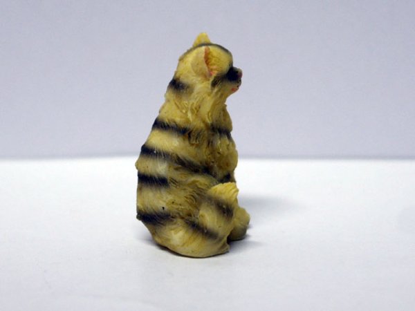 画像2: ペット　猫 (2)