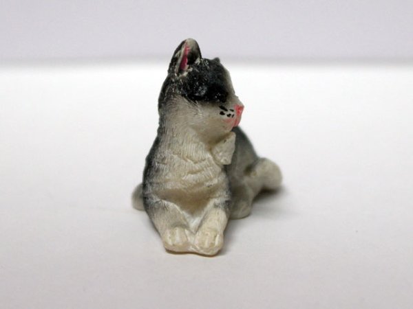 画像2: ペット　猫 (2)