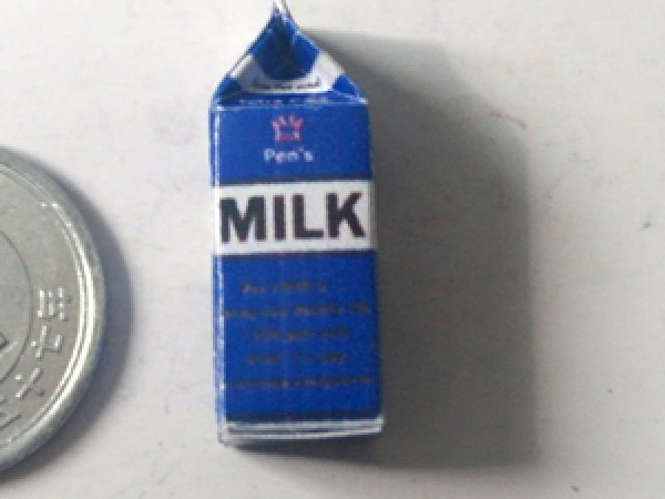 ミニチュア　1/12サイズのパッケージ