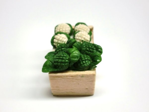 画像2: ベジタブル（カリフラワー&ブロッコリー）　クレート (2)