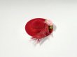 画像3: 帽子(赤色） (3)