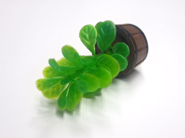 1/12サイズのドールハウス用ミニチュアゴムの木　シングル（1本）です