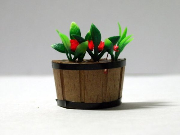 画像2: プラント・タブ (2)