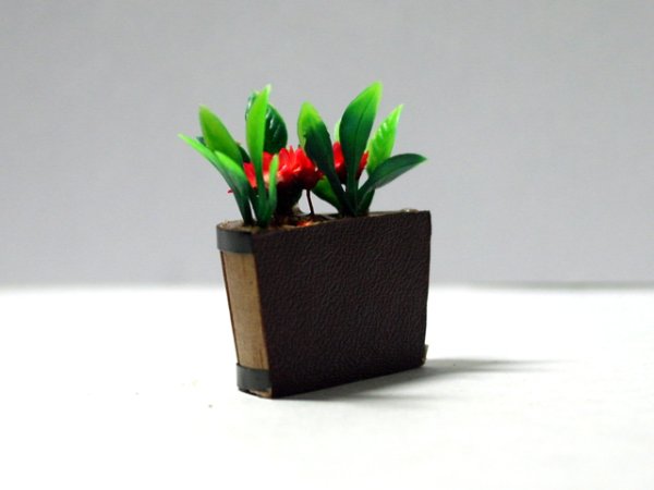 画像4: プラント・タブ (4)