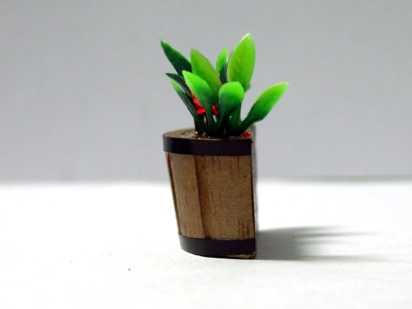 画像5: プラント・タブ (5)