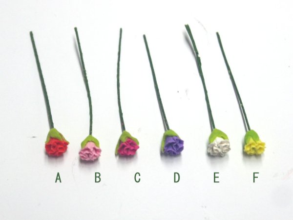 画像5: カーネーション　ピンク　濃 (5)