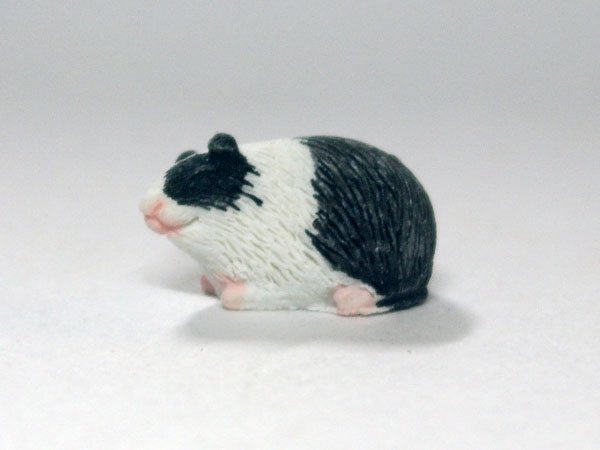 画像2: ギニー・ピッグ (2)