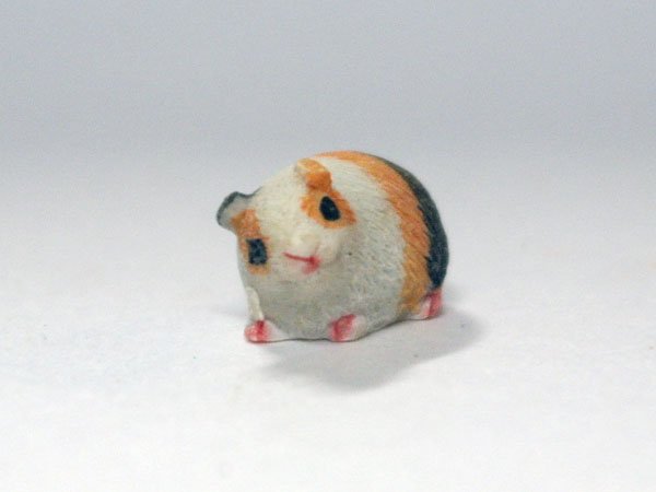 画像2: ギニー・ピッグ (2)