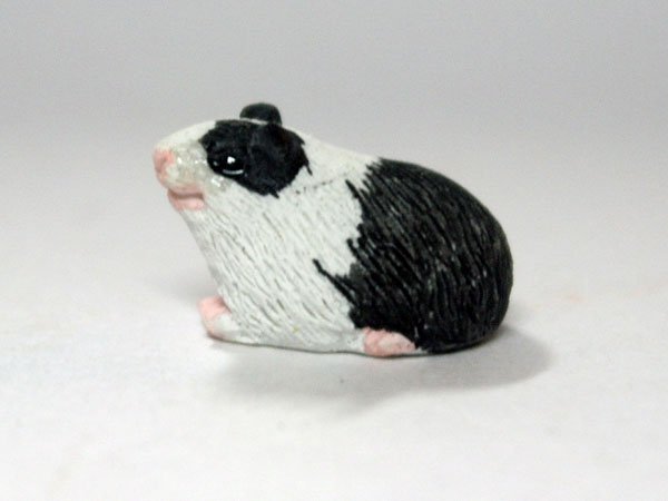 画像2: ギニー・ピッグ (2)