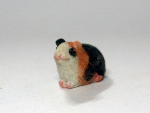 画像1: ギニー・ピッグ (1)