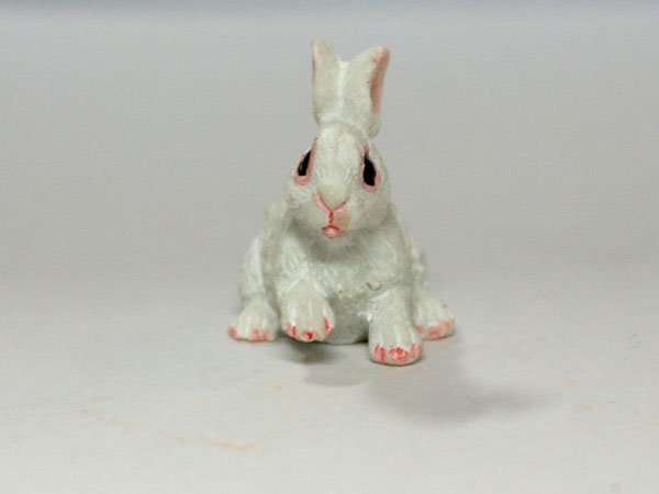 画像2: ラビット (2)