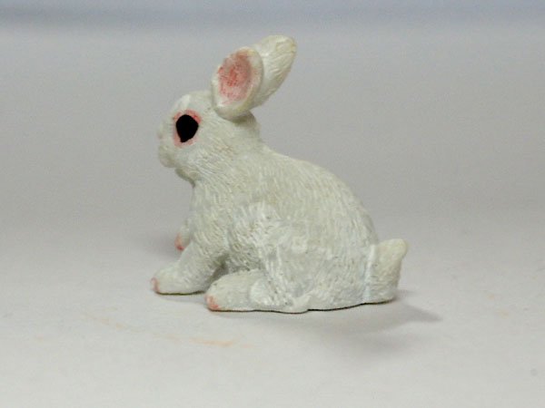 画像3: ラビット (3)