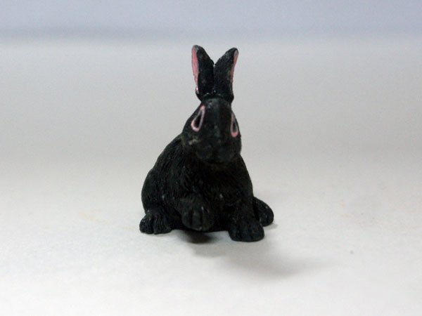 画像2: ラビット (2)