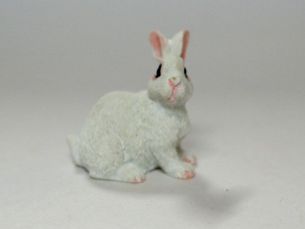 画像1: ラビット (1)