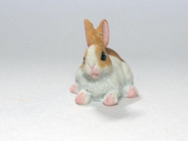 画像2: ラビット (2)