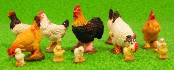 画像4: にわとり (4)