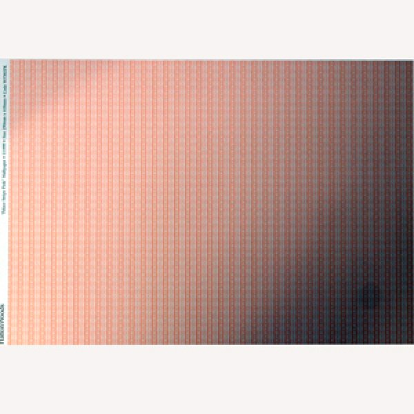 画像2: "PalaceStripe"　pink (2)