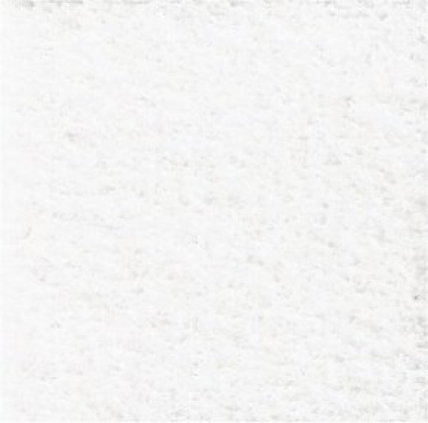 画像1: 粘着剤付　カーペット NEW White　48.26cm x 33.02cm (1)