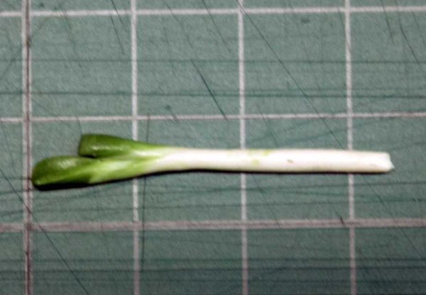 ミニチュア 1/12スケール 長ネギ