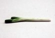 ミニチュア 1/12スケール 長ネギ