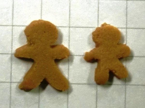 画像1: クッキー 2枚入り (1)