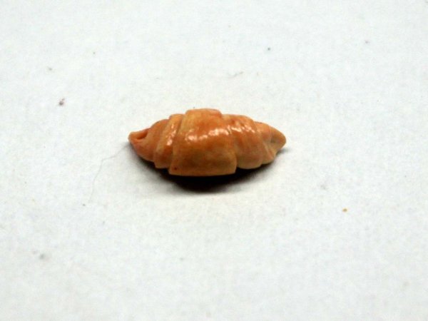 ミニチュア 1/12スケール クロワッサン