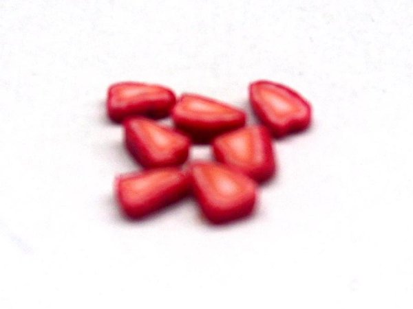 ミニチュア 1/12スケール ストロベリー　スライス　7枚入り