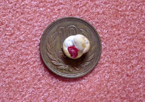 ミニチュア 1/12スケールストロベリー　シュークリーム　ドイリー付