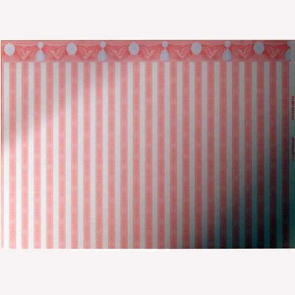 画像5: "Wentworth"　Pink (5)