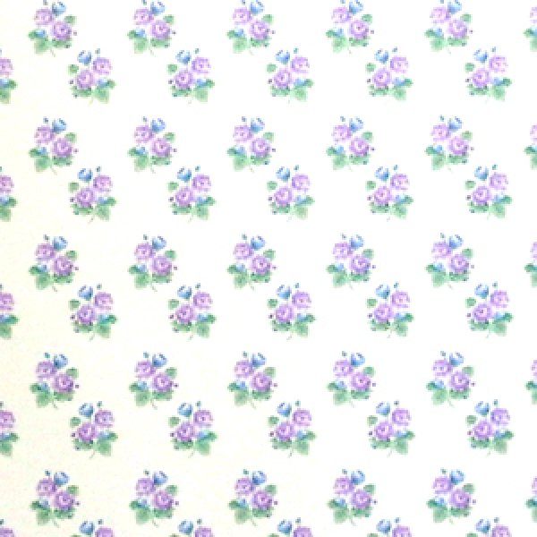 画像2: "Posie"　Lilac (2)