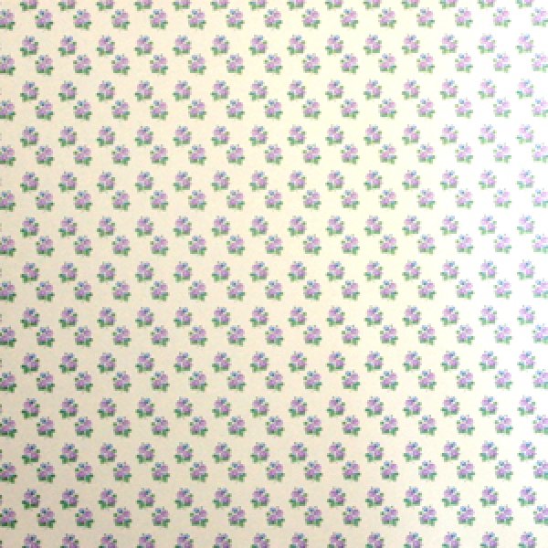 画像3: "Posie"　Lilac (3)