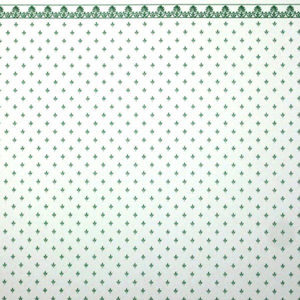 画像3: REGA  Green/White (3)