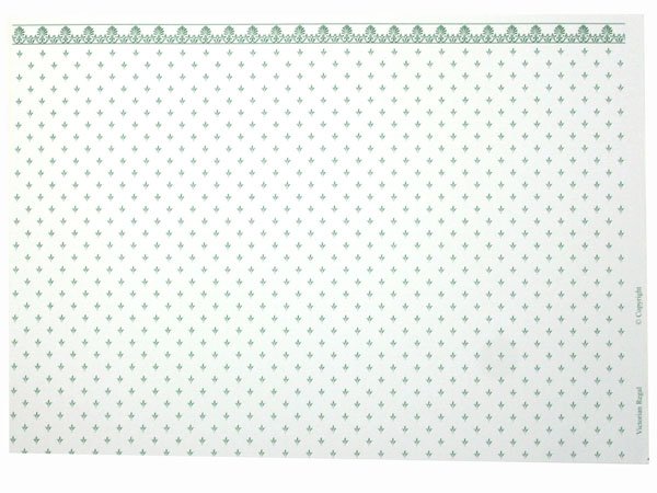 画像4: REGA  Green/White (4)