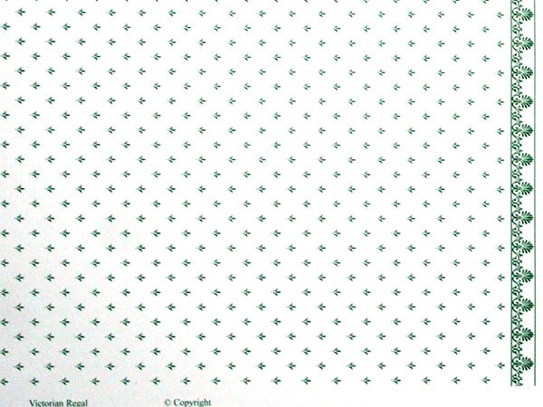 画像5: REGA  Green/White (5)