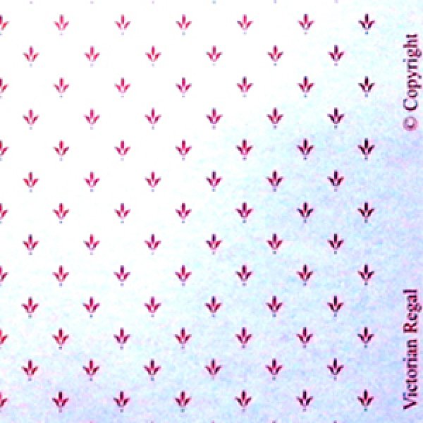 画像4: "Regal"　Pink/Cream (4)