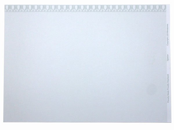 画像3: SPARTAN Silver/Cream (3)