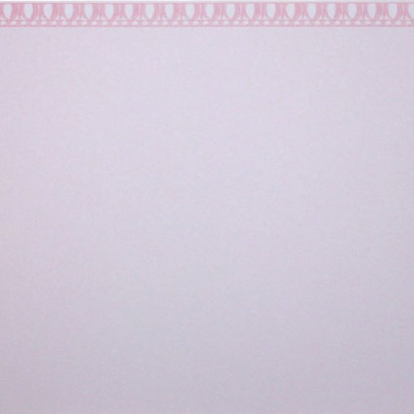 画像2: SPARTAN Pink (2)