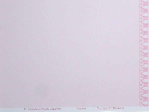 画像3: SPARTAN Pink (3)