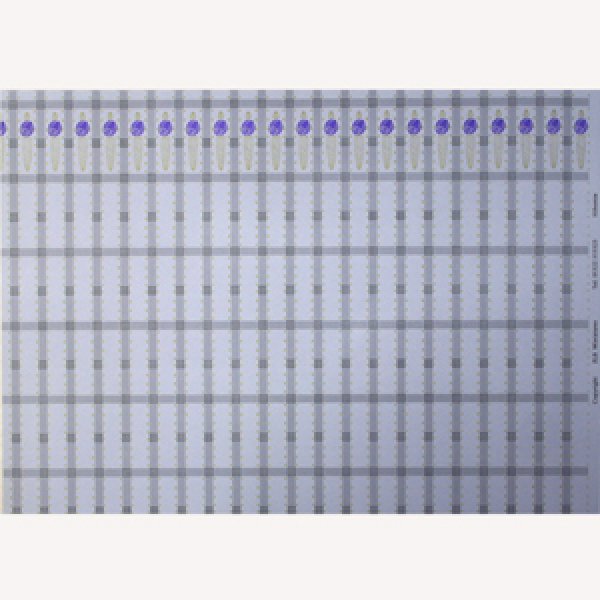 画像5: "Hibernia"　Grey/Mauve (5)