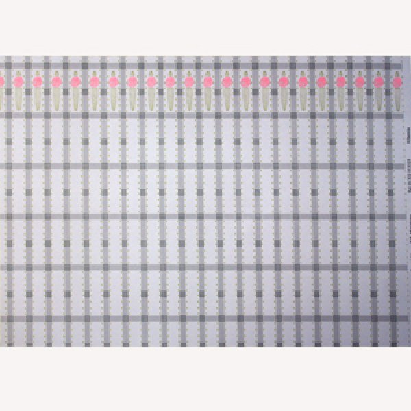 画像5: "Hibernia"　　Silver/Pink (5)