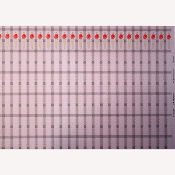 画像5: "Hibernia"　　Pink/Red (5)