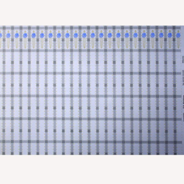 画像5: "Hibernia"　　Blue/Blue (5)