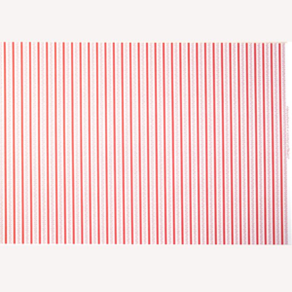 画像5: "Princess Rose"　Red (5)