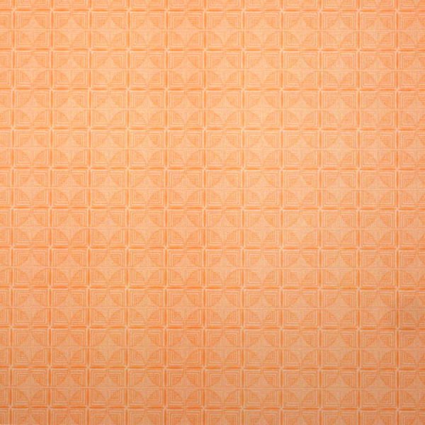 画像3: KENNEDY Fawn (3)