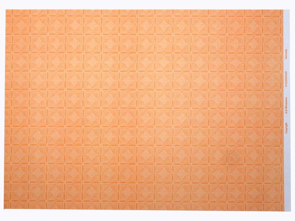 画像4: KENNEDY Fawn (4)