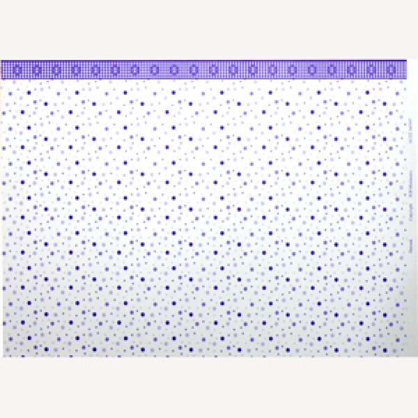 画像5: "Damask"　Lilac (5)