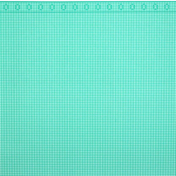 画像3: GINGHAM Green (3)