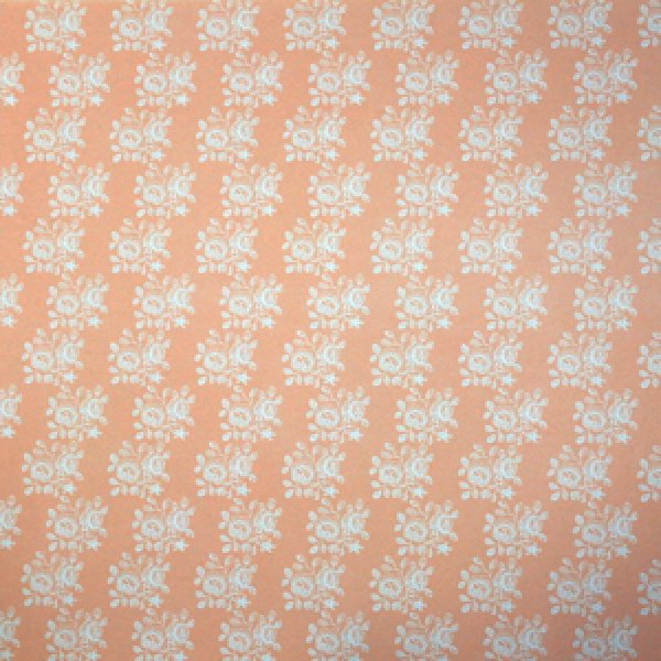 画像3: "Blenheim"　Pastel Peach (3)