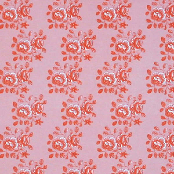 画像2: "Blenheim"　Peach (2)