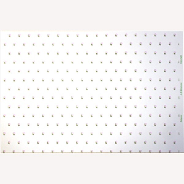 画像5: "Rebecca"　Lilac/White (5)